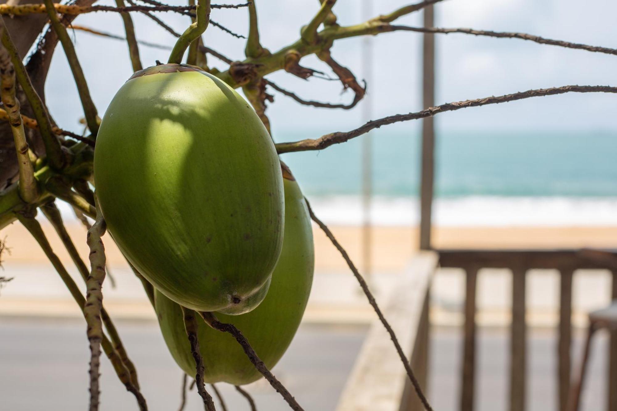 Tahiti Hotel Kotonu Zewnętrze zdjęcie